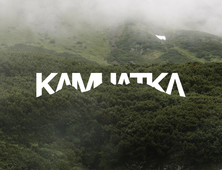 Визуальная концепция камчатка